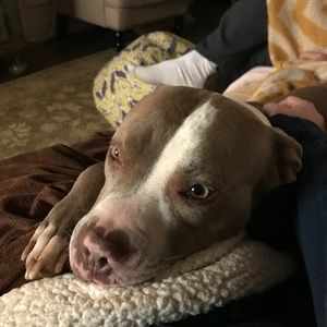 Meet your Posher, Kathryn